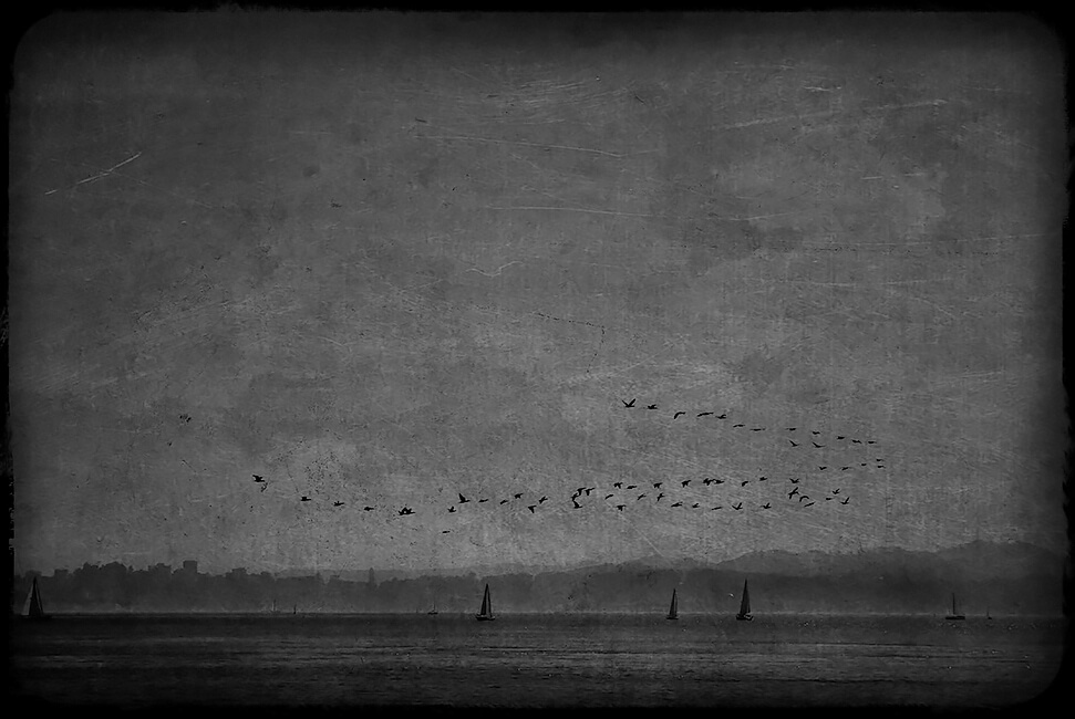 © Sandrine Hermand-Grisel / Photographer